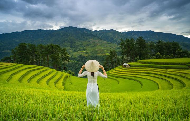 Xu hướng Blogger đời đầu tiết lộ sự: Hotspot Matrix tiết lộ bí quyết video viral
