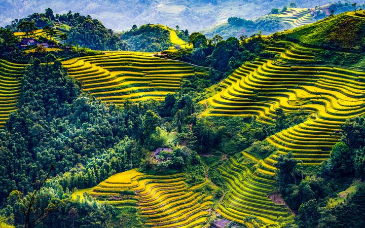 Loại cá được khen