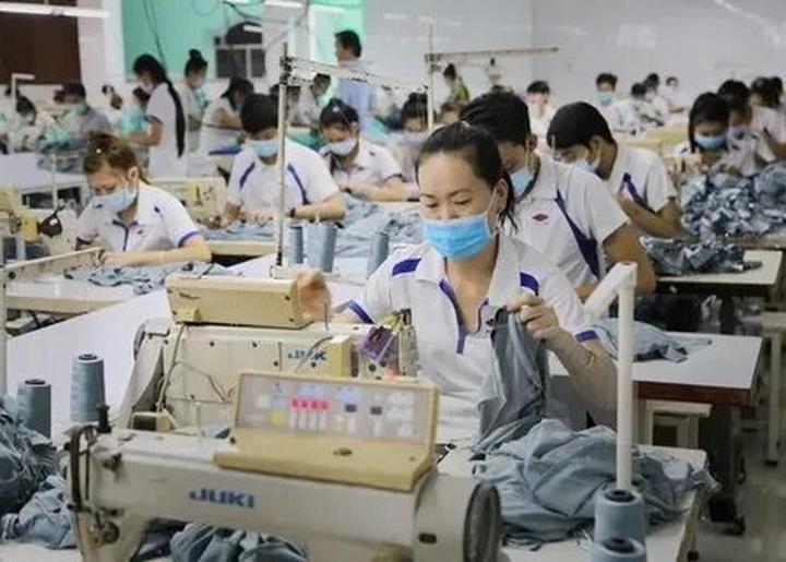 Bonobo: Nguồn Gốc Tiến Hóa Của Ngôn Ngữ Con Người?