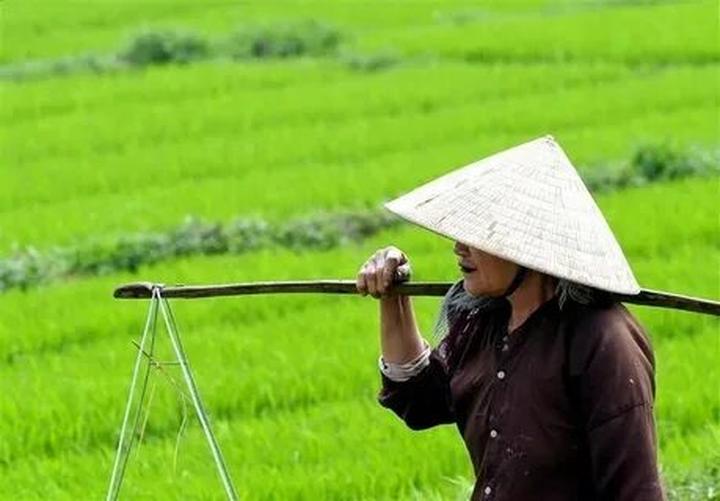 Hotspot Matrix: Biến Mẹ Cua Cốm khen vải trứng Phù thành cơ hội marketing đột phá