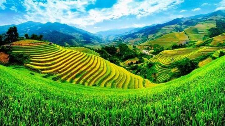 2. Tiêu đề: [Master the Art of Viral Video Marketing: Hotspot Matrix's Guide to