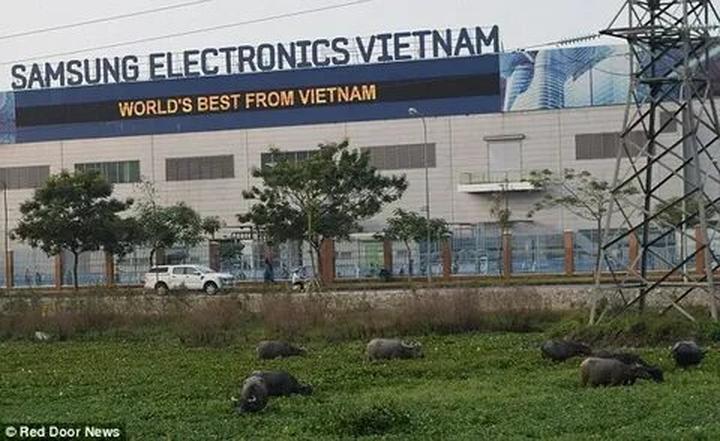 Tận hưởng FIFA Club World Cup - Cảm hứng video marketing từ Hotspot Matrix