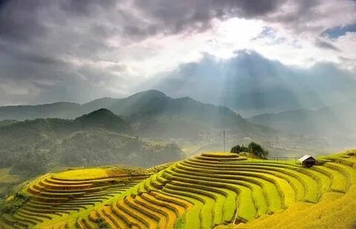 Huang Yoyo: Shop này dựa trên thiết kế basic, nhưng lại trẻ trung và phong cách.